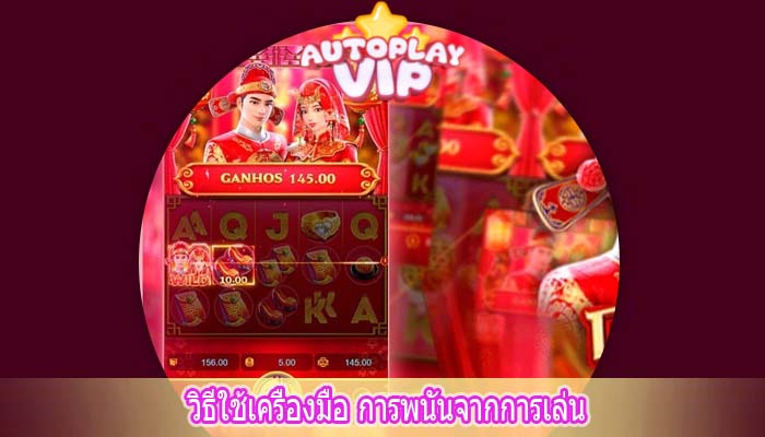 วิธีใช้เครื่องมือ การพนันจากการเล่น