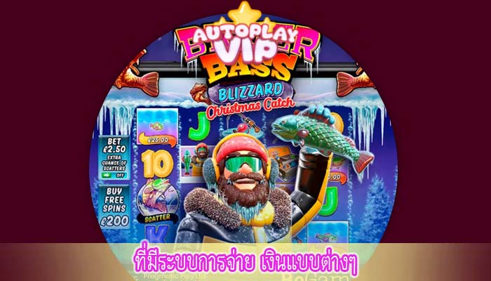 ที่มีระบบการจ่าย เงินแบบต่างๆ