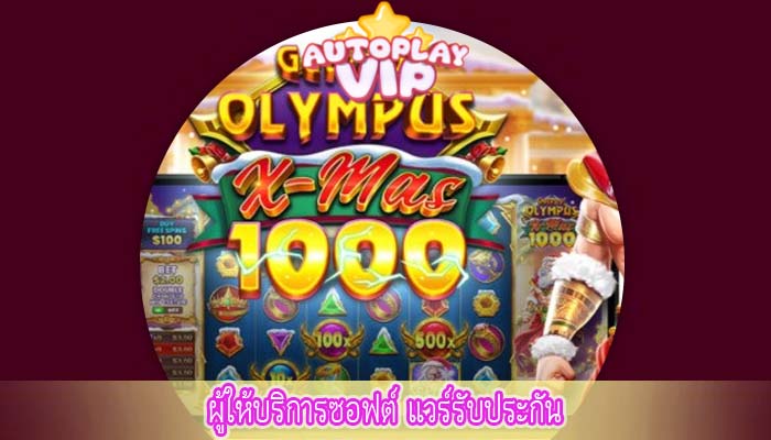 ผู้ให้บริการซอฟต์ แวร์รับประกัน