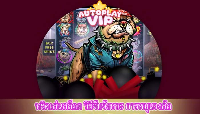ทริคเล่นสล็อต วิธีจับจังหวะ การหมุนวงล้อ