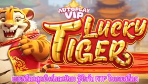 เกมสล็อตสุดมันส์ยอดนิยม รู้จักกับ RTP ในเกมสล็อต
